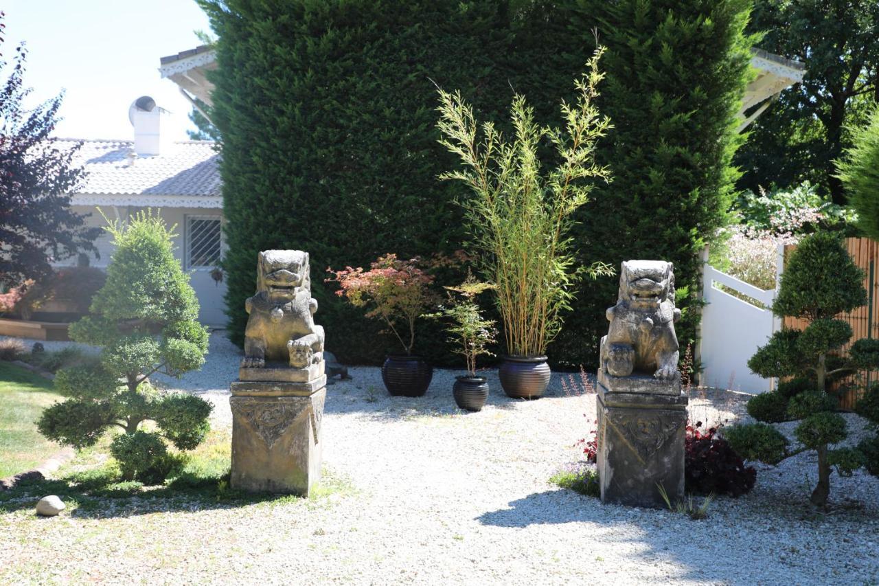 Maison Blanche 兰顿 外观 照片